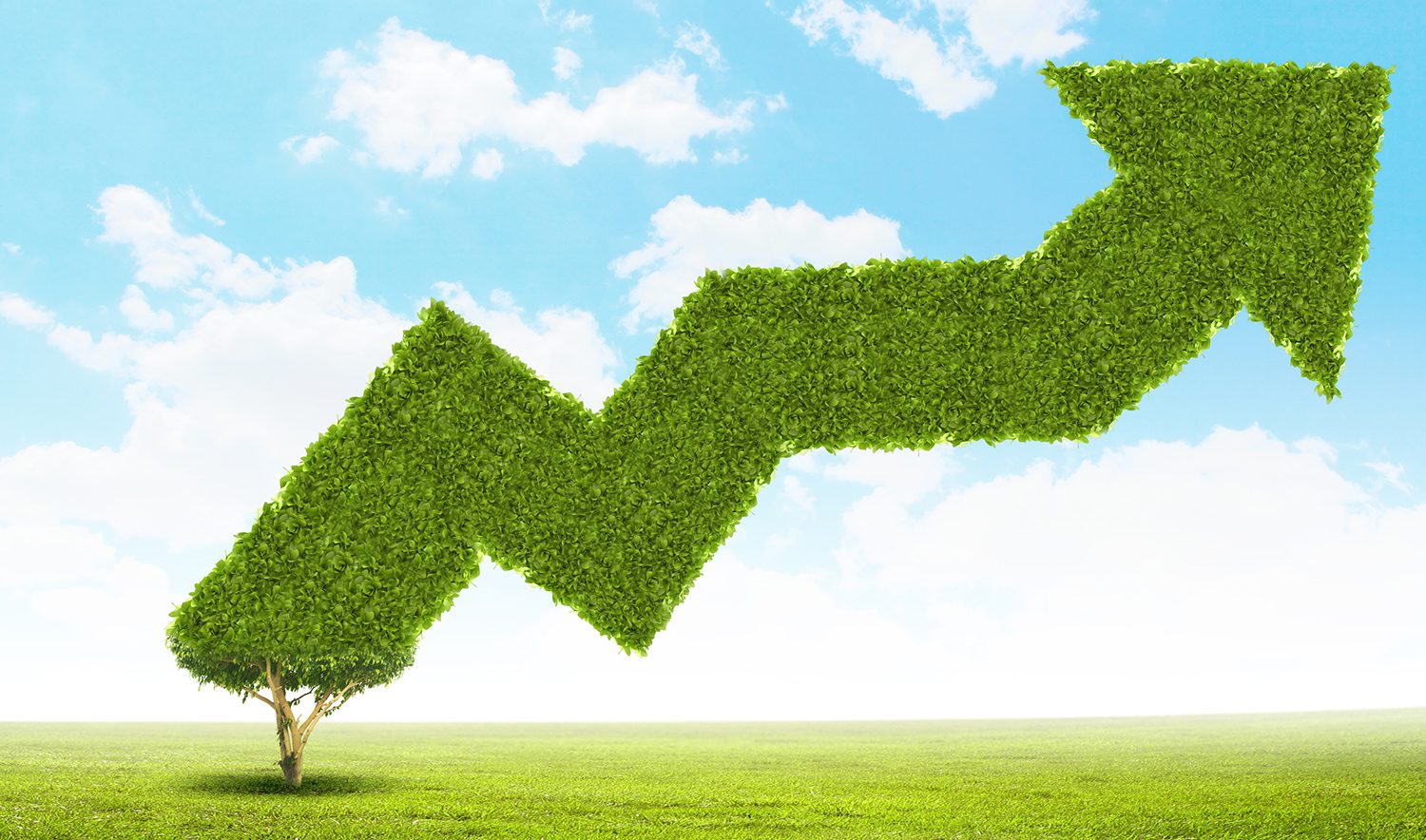 Elevate Your Mass Tort Case Acquisition